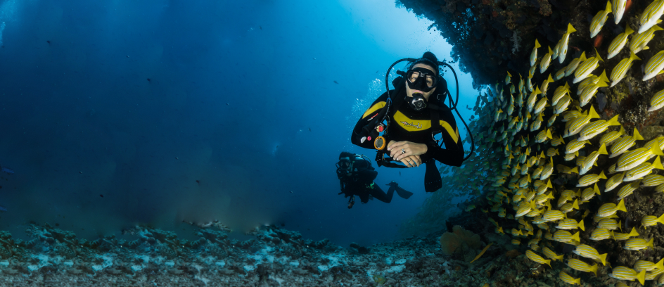 Voel de rust en vrijheid onder water. Duiken biedt ontspanning en avontuur terwijl je de oceaan verkent.