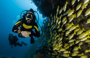 Ga mee duiken in Rotterdam en ontdek de verrassende onderwaterwereld. De perfecte duikervaring voor elke duikliefhebber in de regio.