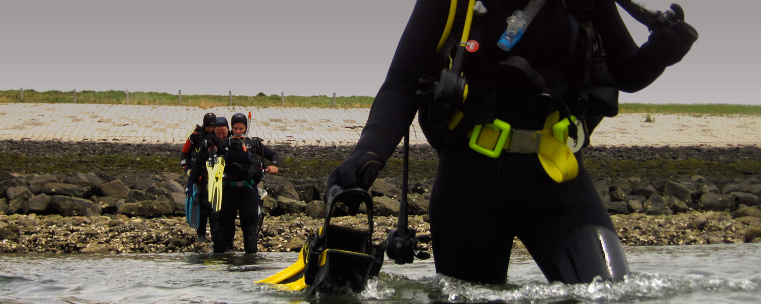 Nederland zit vol verrassende duikplekken. Ontdek verborgen onderwaterwerelden vol zeeleven en prachtige landschappen.