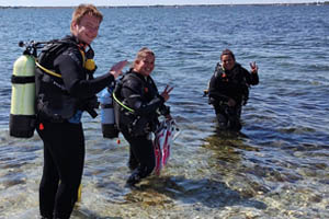 Ontdek de beste duiklocaties met een ervaren duikgids van Het Duikhuis. Laat je begeleiden in Rotterdam, Utrecht, Zeeland of Amsterdam voor een veilige en onvergetelijke duikervaring.