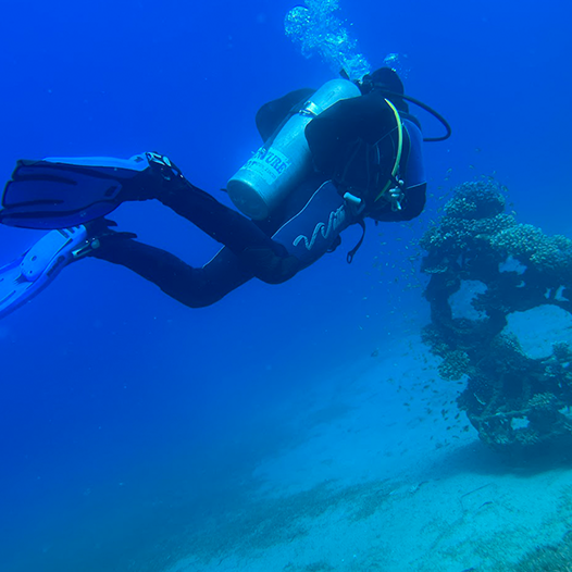 Combineer ontspanning en avontuur tijdens jouw duikvakantie in Dahab, Egypte. Ontdek met Het Duikhuis de mooiste riffen en het rijke zeeleven van de Rode Zee.