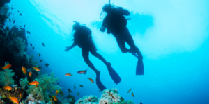 Bij Het Duikhuis kun je je duikbrevet halen via de SSI Open Water Diver-cursus met theorie-, zwembad- en openwaterduiken. Start met een Introductieduik als je eerst rustig wilt kennismaken met het duiken.