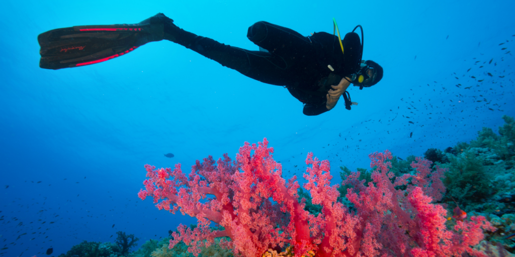 ga jij je duikbrevet halen in het buitenland? of ga je je duikbrevet halen in thailand?