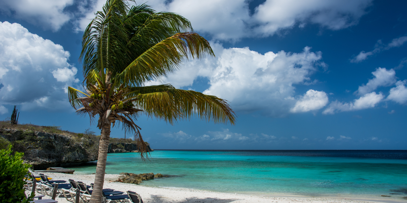 Kleurrijke onderwaterwereld langs de kust van Curaçao