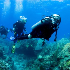 Dagje weg om te duiken NL