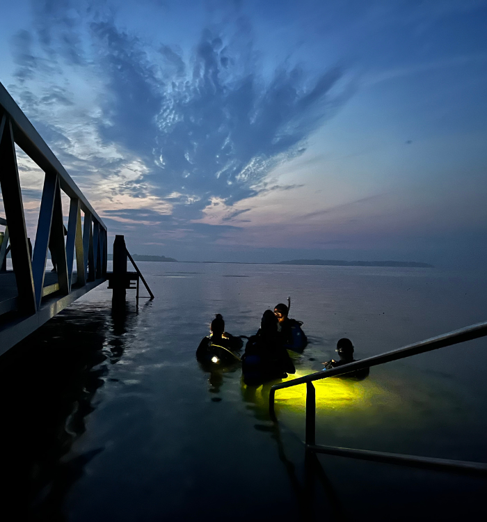 Duikplekken nacht zeeland